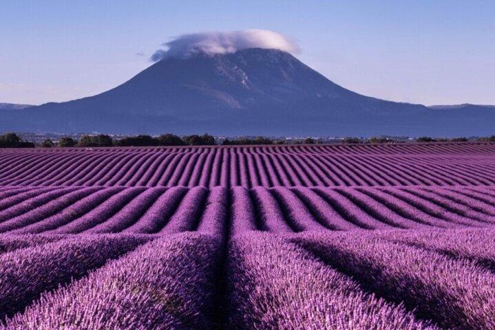 Visite os campos de lavanda, Gorges du Verdon e Moustiers.