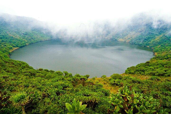 Circuit royal de 7 jours au Rwanda avec gorilles, chimpanzés, culture et lacs