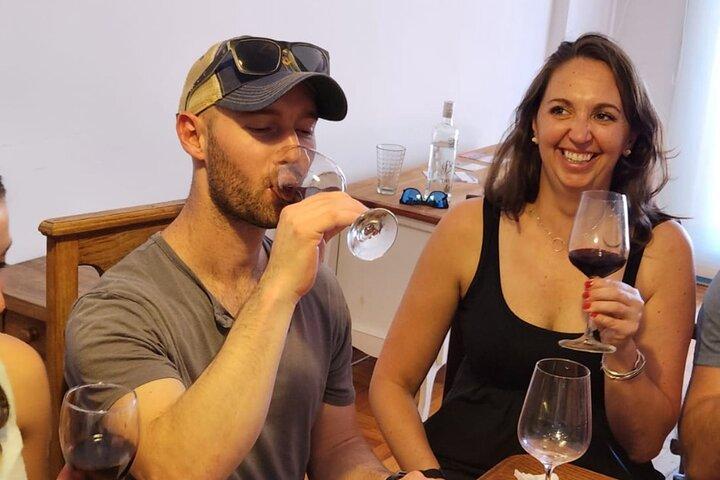 BA: degustação de vinhos argentinos premium e Malbec em Palermo