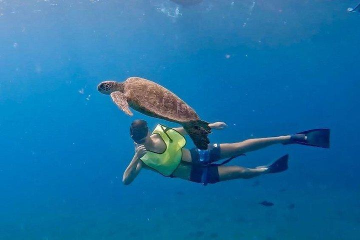 シュノーケリング、ウォータースライダー、ランチ、送迎付きのボートトリップ