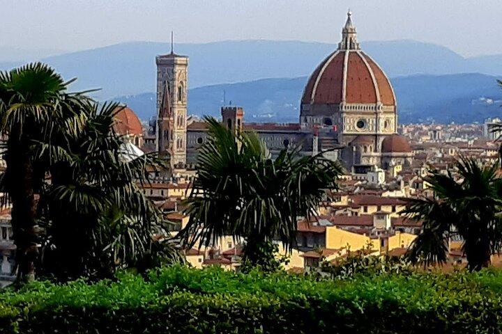 ESCURSIONE PRIVATA: Firenze e Chianti con esperienza di degustazione di vini da Livorno
