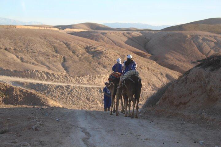Camel Ride at Agafay Desert