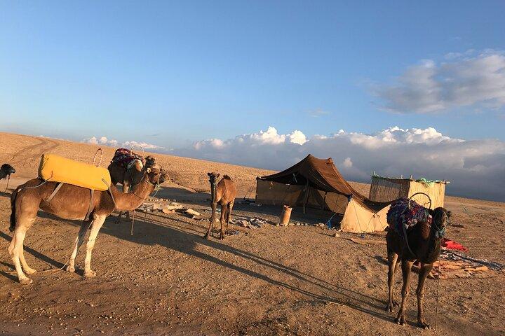 Camel Ride at Agafay Desert