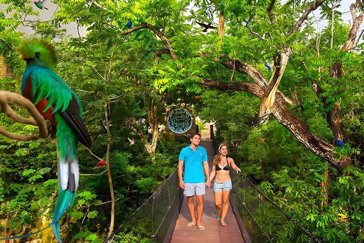 ¡Tour Parque Xcaret Plus! Naturaleza, Cultura y Espectáculo Nocturno desde Cancún