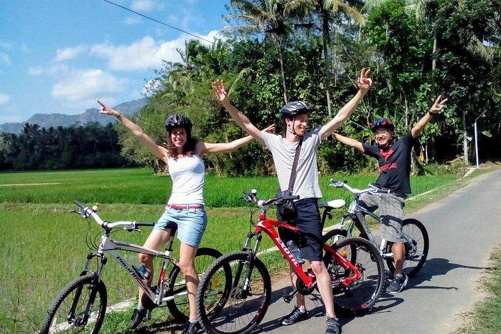ジョグジャカルタのサイクリング ツアー (昼食付き) 3 時間