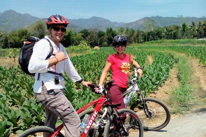 ジョグジャカルタのサイクリング ツアー (昼食付き) 3 時間