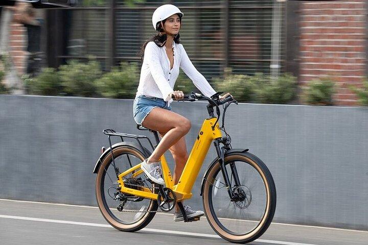 Elektro-Fahrradverleih in den Dörfern Florida