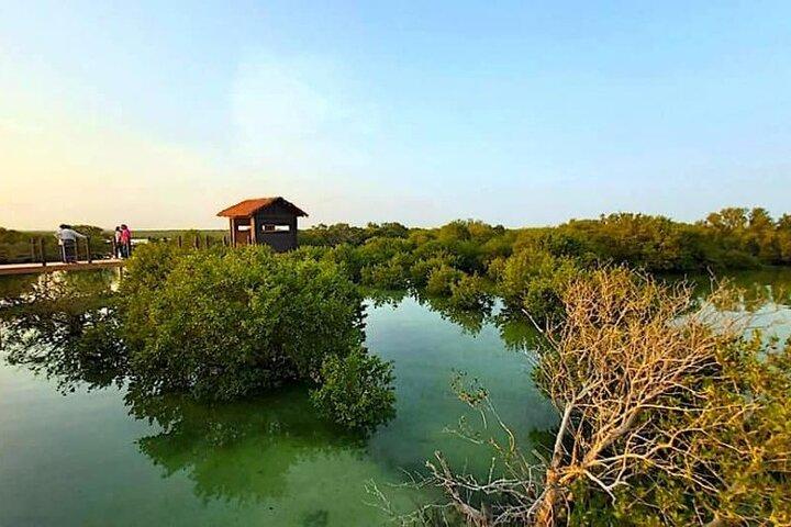 カタール北部ツアー|ズバラ要塞、パープル島、マングローブ群生地