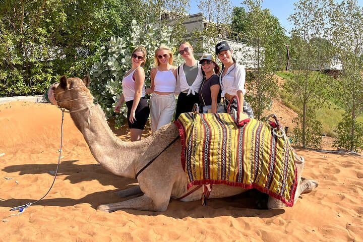 Dubai Desert Safari: Dune Bashing, Camel Ride & BBQ Dinner