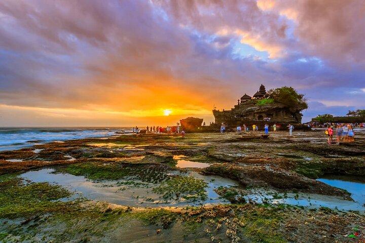 Bali PrIvate Full-Day Tour: Ubud and Tanah Lot Temple Tour