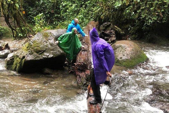 Mindo Cloud Forest: Hummingbirds, Birding & Waterfalls | Private