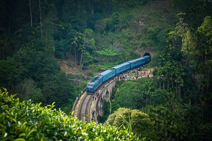 Pacotes personalizados de excursões privadas de vários dias no Sri Lanka