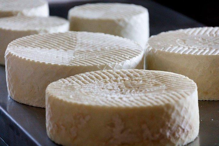 南からの昼食付きフェルテベントゥラ村の洞窟と農場ツアー