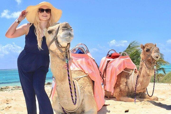 Kamelexpedition und Beach Club an der Riviera Maya