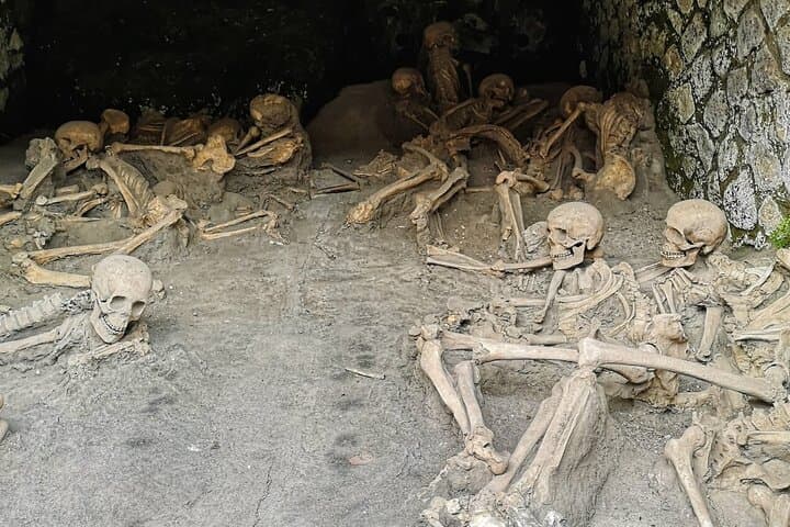 Private Pompeii and Herculaneum Tour by Car