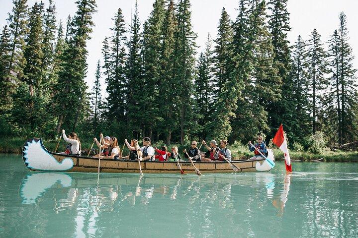 Tierwelt am Bug | Große Kanutour im Banff-Nationalpark