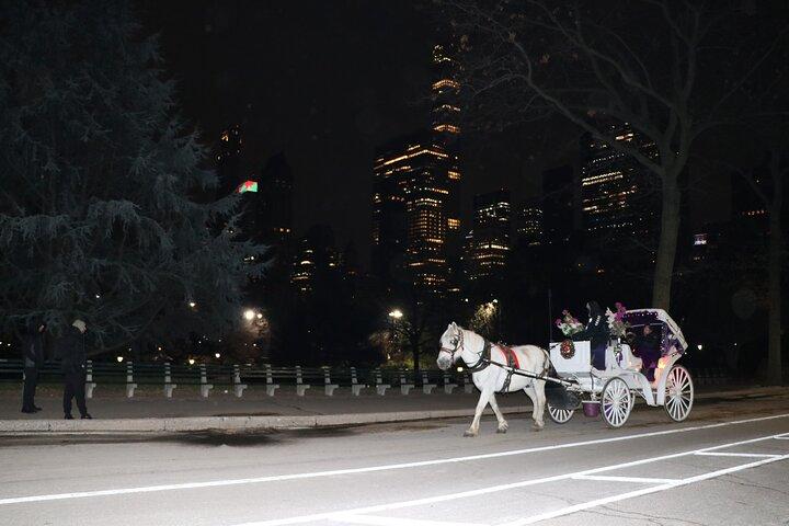 ニューヨーク市セントラル パークの馬車乗車 (大人 4 名まで)