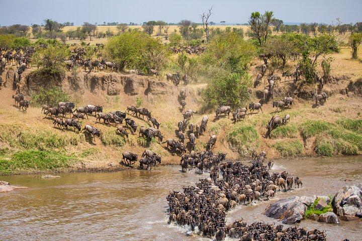 Tour privado de 4 días - Serengeti Ngorongoro y Lago Manyara