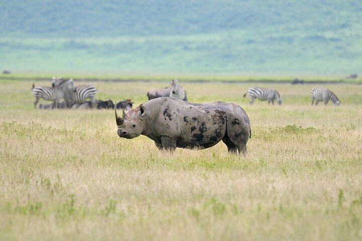 Tour privado de 4 días - Serengeti Ngorongoro y Lago Manyara