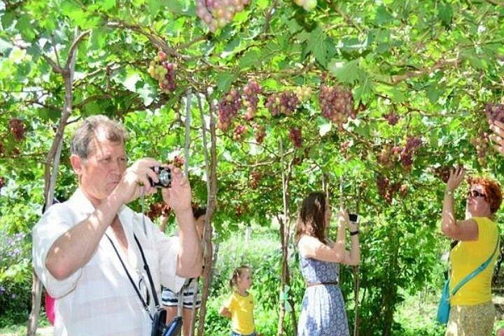 ニャチャンから：ファンラン観光旅行とビンハイ湾を発見