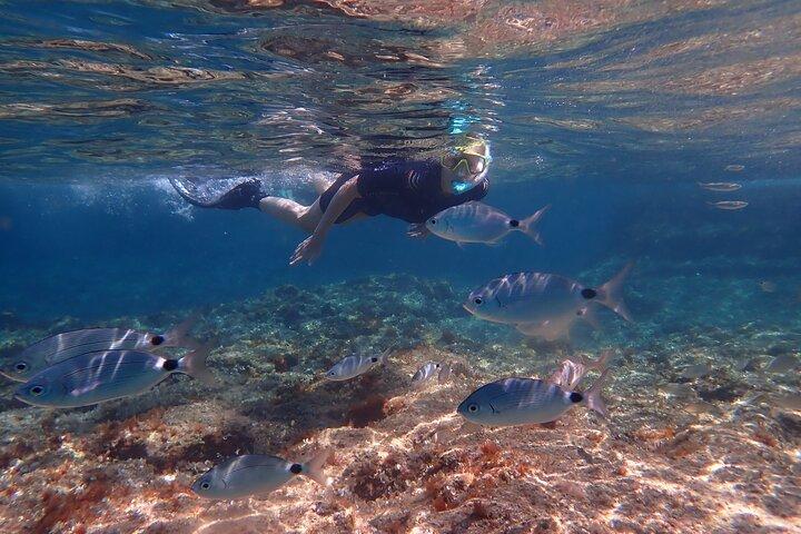 Maiorca: snorkeling in una splendida riserva naturale