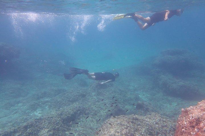 マヨルカ島：美しい自然保護区でのシュノーケリング
