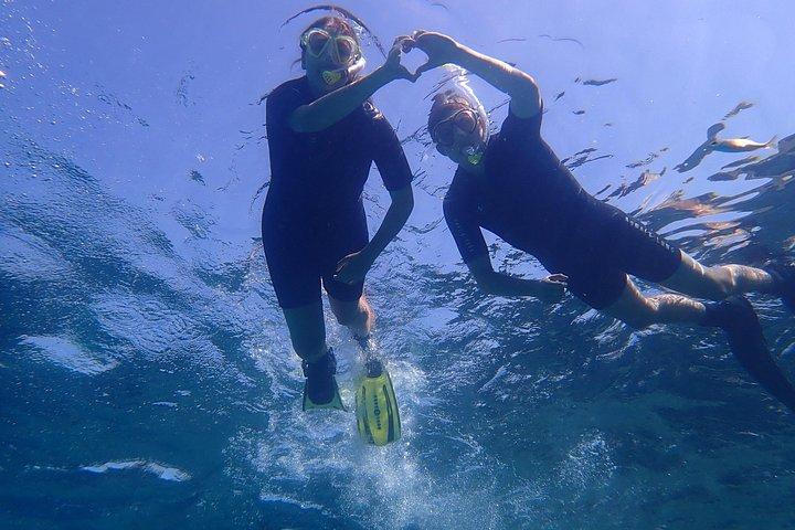 マヨルカ島：美しい自然保護区でのシュノーケリング