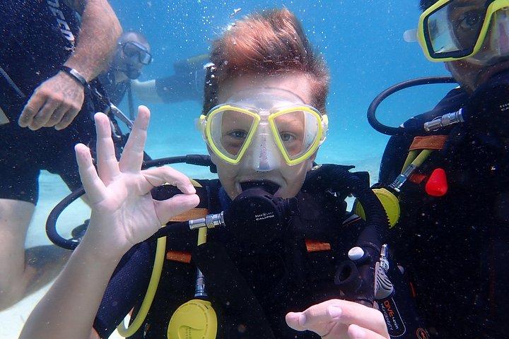 Maiorca: prova le immersioni subacquee in una splendida riserva naturale