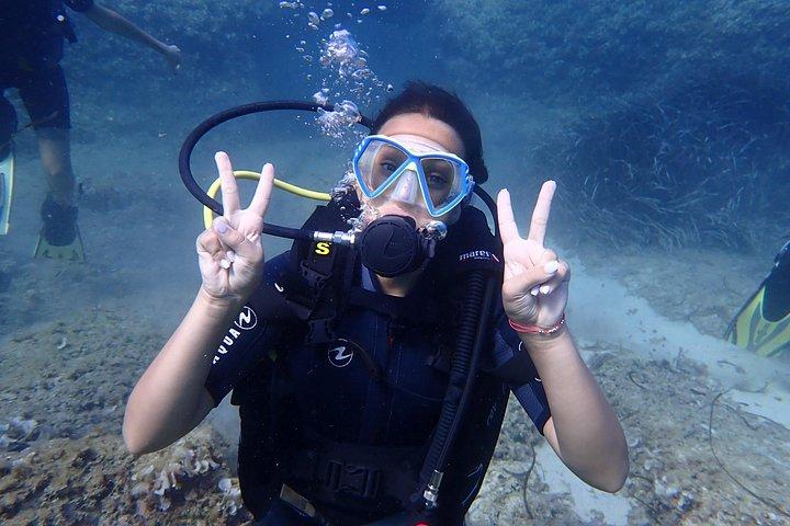 Maiorca: prova le immersioni subacquee in una splendida riserva naturale