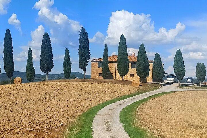 TOUR PRIVADO Saboreie vinhos requintados: Brunello & Nobile Wine Tour