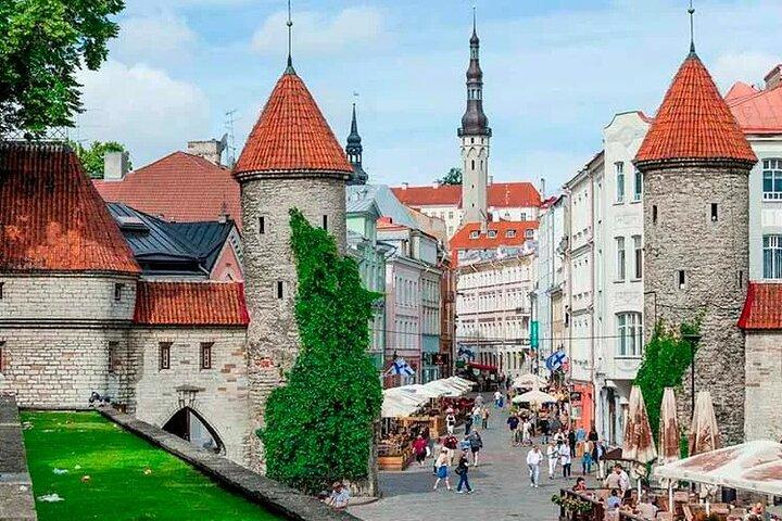 CO2-Ausgleich Tallinn selbst mit englischsprachigem Fahrer