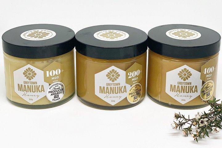 Small-Group Beekeeping Experience in Tauherenikau