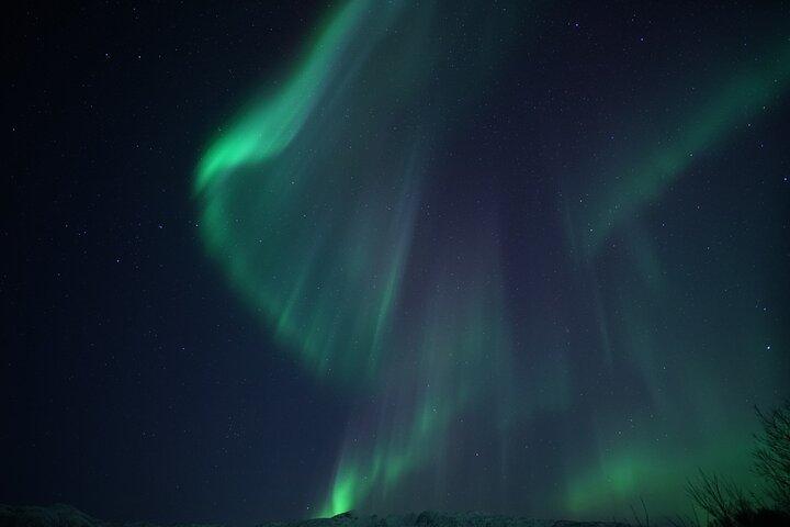 Tromsö : Kvälls Aurorakryssning