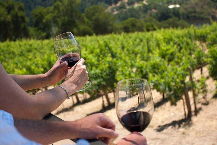 Privé Chianti Classico-wijnproeverij in twee familiewijngaarden