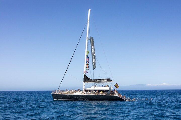 Esclusivo catamarano Freebird Whale & Dolphin a Masca da sud