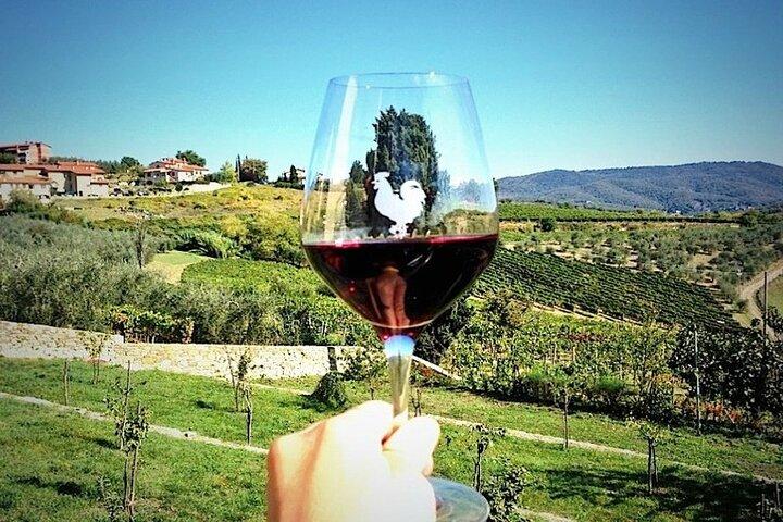 Chianti & Supertuscan privétour 2 wijnmakerijen met lichte lunch