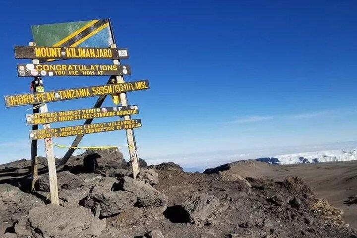 6 dages bestigning af Kilimanjaro via Marangu-ruten Privat guidet tur