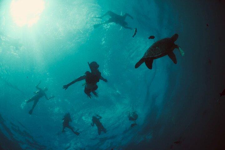 Waikiki-snorkeltour