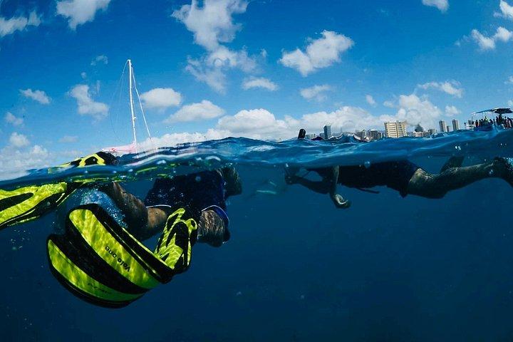 Waikiki Snorkel Tour