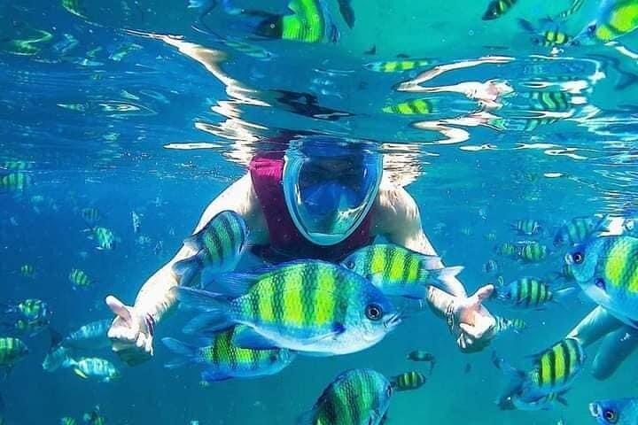 Langkawi Private Marine Odyssee - Schnorchel & Mangroven Entdeckung