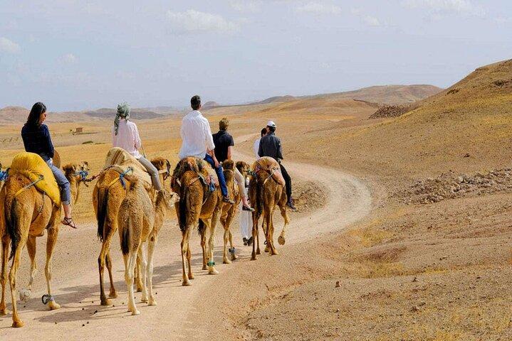 Agafay Desert Pack Fuld: QUAD & KAMELER RIDE og middag AGAFAY