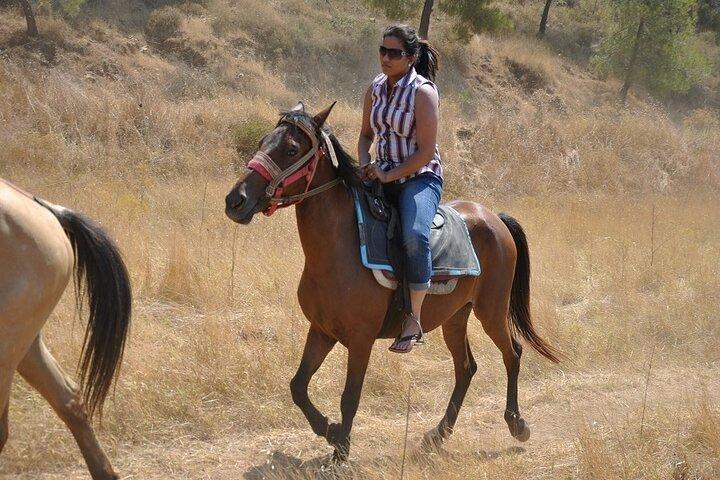Équitation à Marmaris et Icmeler