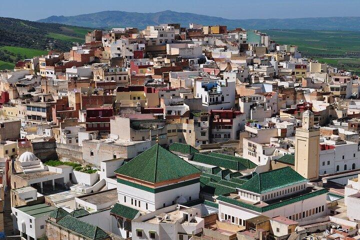 Excursión de un día desde Fez a Meknes, Volubilis, Moulay Idriss
