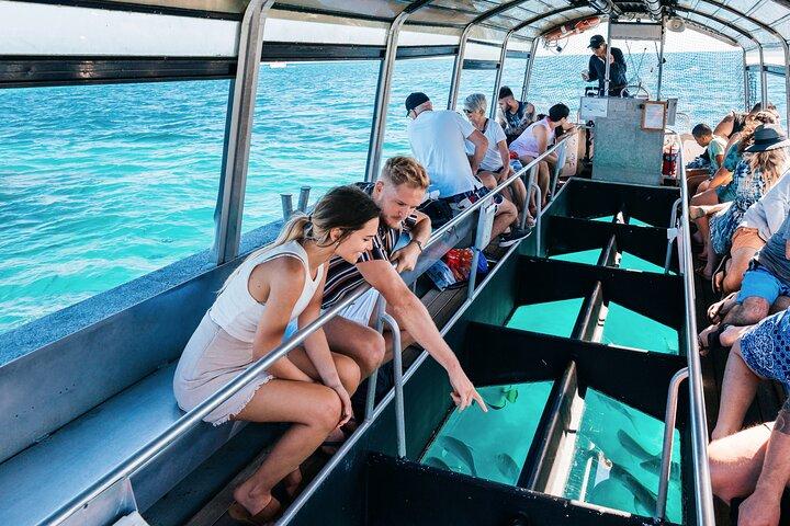 Schnorcheln oder Glasbodenboot auf Green Island ab Cairns
