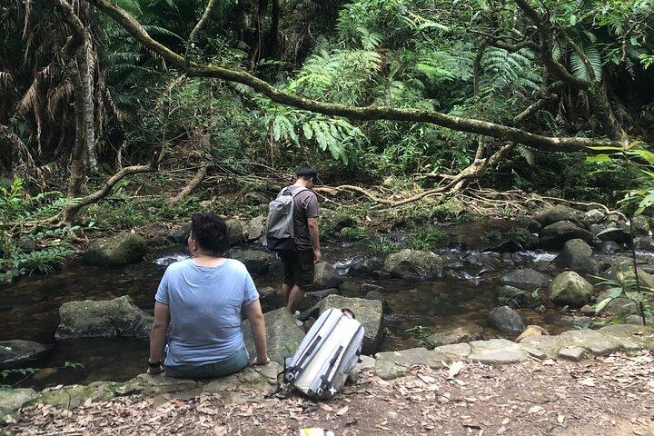 Geführtes Waldbaden Nature Immersion Hong Kong