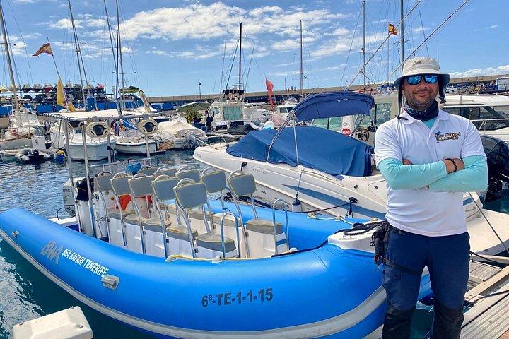 シーサファリ イルカ、クジラ、シュノーケリング、スナック、ドリンク、3時間のプライベート