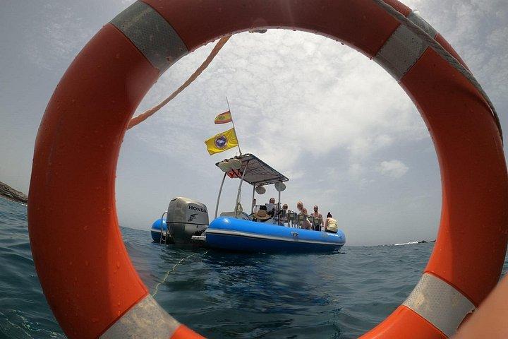 シーサファリ イルカ、クジラ、3時間スピードボート ディスカバリーツアー
