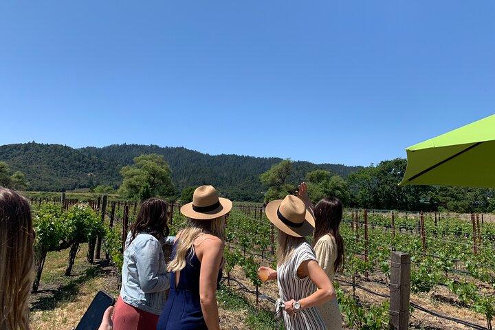 Professionisti del Wine Tour - Napa Wine Tour: SUV fino a 6 ospiti