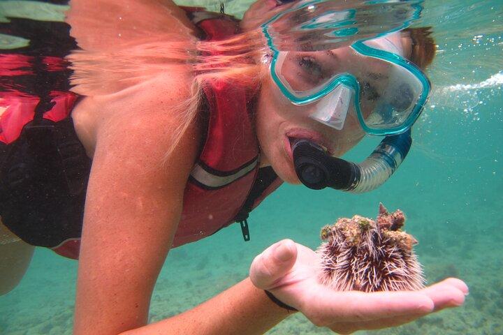 Excursão de caiaque e snorkel na lagoa St Thomas Mangrove nas Ilhas Virgens Americanas