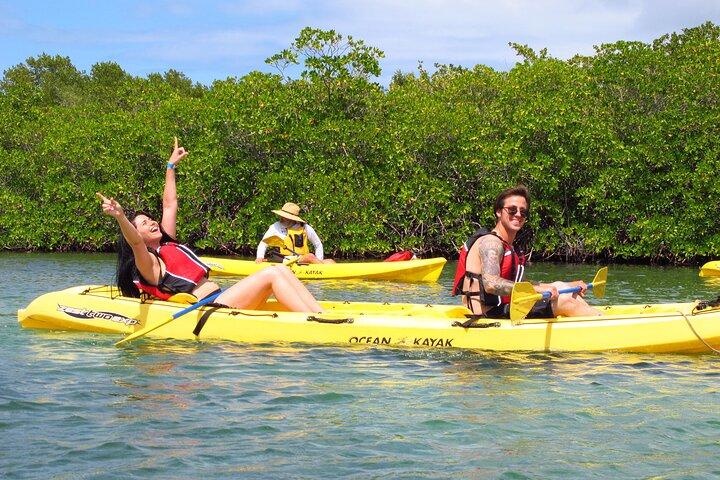 Excursão de caiaque e snorkel na lagoa St Thomas Mangrove nas Ilhas Virgens Americanas